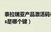 泰拉瑞亚产品激活码在哪（泰拉瑞亚oemplus是哪个键）