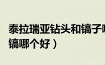 泰拉瑞亚钻头和镐子哪个好（泰拉瑞亚钻头和镐哪个好）