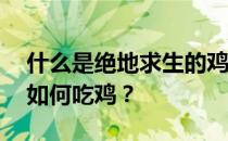 什么是绝地求生的鸡——绝地求生专业人员如何吃鸡 