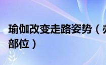 瑜伽改变走路姿势（办公室瑜珈可以锻炼哪些部位）
