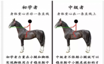 野骑是一项很超脱的骑马运动项目