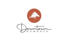 7月4日庆祝活动开始宣布Damonte市中心