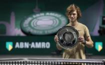 ATP500鹿特丹公开赛卢布列夫夺冠