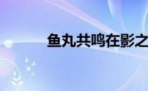 鱼丸共鸣在影之诗中有什么用 