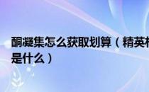 酮凝集怎么获取划算（精英材料酮凝集组的用途及获取方式是什么）