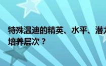 特殊温迪的精英、水平、潜力、技能、信任度有哪些推荐的培养层次 