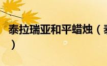 泰拉瑞亚和平蜡烛（泰拉瑞亚和平蜡烛怎么做）