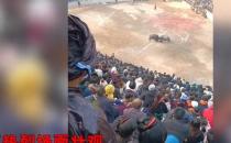 贵州农村斗牛引8万村民围观