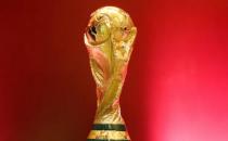 卡塔尔禁止在世界杯体育场销售啤酒