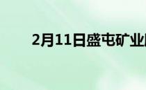 2月11日盛屯矿业股票市盈率是多少