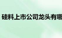 硅料上市公司龙头有哪些（硅料概念股一览）