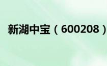 新湖中宝（600208）股票十大股东都有谁