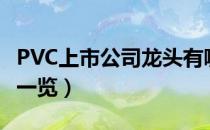 PVC上市公司龙头有哪些（PVC相关上市公司一览）