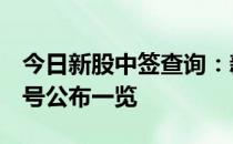 今日新股中签查询：新股金现代300830中签号公布一览