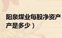 阳泉煤业每股净资产（阳泉煤业600348净资产是多少）