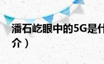潘石屹眼中的5G是什么样子的（潘石屹的简介）