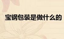 宝钢包装是做什么的（其主营业务是什么）