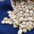 白芸豆子有减肥的功效吗？
