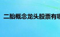 二胎概念龙头股票有哪些（（2022年版））