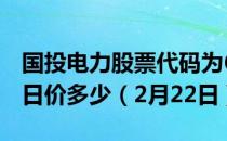 国投电力股票代码为600886国投电力股票今日价多少（2月22日）