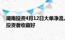 湖南投资4月12日大单净流入204.02万市值达23.26亿A股投资者收藏好