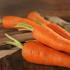 多吃胡萝卜视力真的能变好吗？