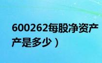 600262每股净资产（北方股份600262净资产是多少）