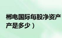 郴电国际每股净资产（郴电国际600969净资产是多少）