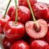糖尿病患者可不可以吃樱桃
