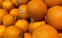 橙子能放冰箱里面冷藏吗