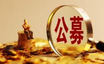 ​2023年看好这些机会，多家外商独资公募齐发声（外资公募基金对中国经济看好）