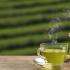 喝绿茶的功效作用以及禁忌（可以促进新陈代谢）
