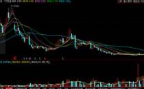 全年营收不到10万！这家上市公司跨界新能源汽车损失惨重，提示终止上市风险（四川西部资源控股有限公司被终止上市）