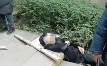 ​老人被8岁男童楼顶扔木块砸死 其家属起诉肇事方和物业
