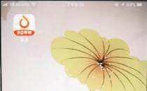 多点app怎么绑定银行卡