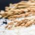 印度大米出口限制生效 海外印度人出现恐慌性抢米
