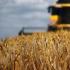 商务部终止对原产于澳大利亚的进口大麦征反倾销税反补贴税