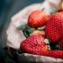血糖高的人饮食有哪些禁忌 血糖高可以吃草莓吗