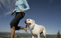 ​如何避免狗狗在运动过程中受到伤害