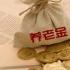个人养老金制度实施一周年 持续上新收益率不及预期