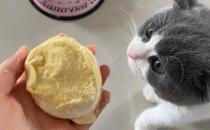 猫咪能吃石榴吗