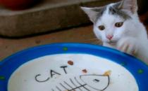 ​猫咪不能吃猪肝