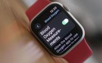 因涉嫌侵权  带有血氧检测功能的苹果手表在美国遭进口禁令