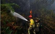 厄尔尼诺现象引发森林火灾  哥伦比亚宣布进入自然灾害状态