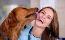 ​狗狗喜欢舔人怎么办 怎么训练狗狗不舔人
