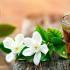 茉莉花茶可以天天喝吗