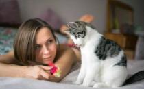 猫咪对主人真的有感情吗