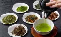口粮茶的选择之道是什么