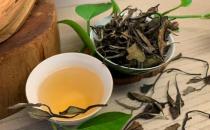 哪几类茶叶比较适合刚开始喝呢